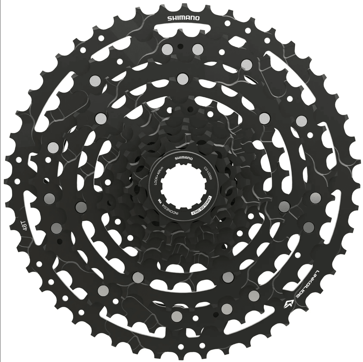 PIÑON SHIMANO 10V HG1