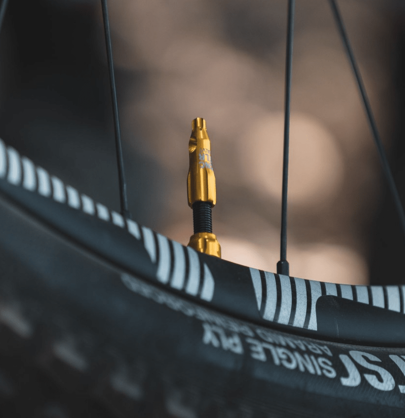 VALVULA LEZYNE GOLD1