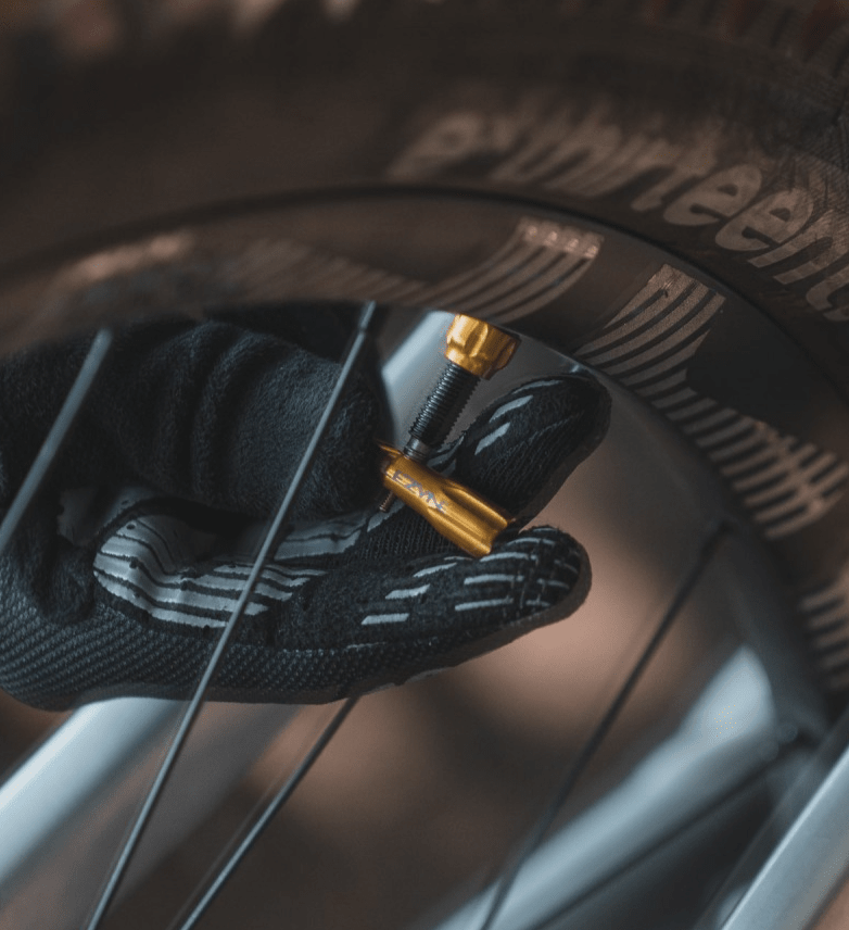 VALVULA LEZYNE GOLD2