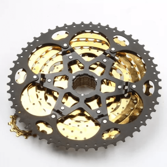 PIÑON TWOO 12V BICOLOR HG2