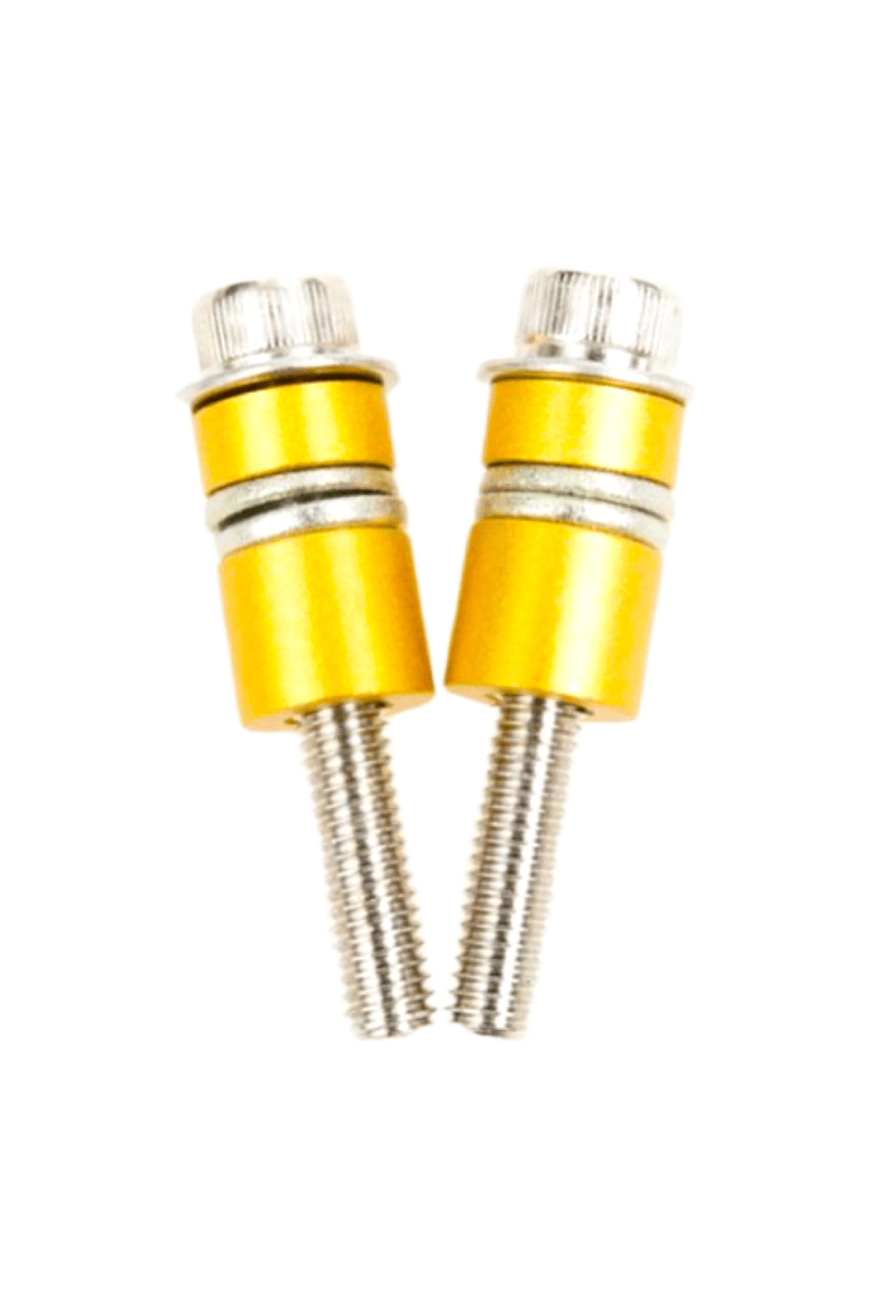 PERNO DE CALIPER A2Z 20MM2