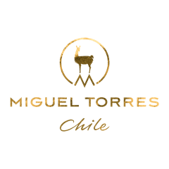 MIGUEL TORRES