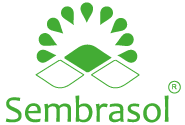SEMBRASOL