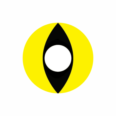 Yellow Cat1