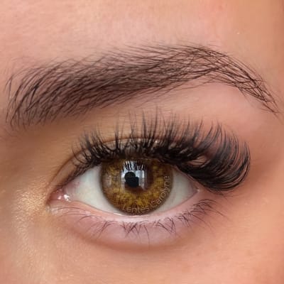 Russian Brown1