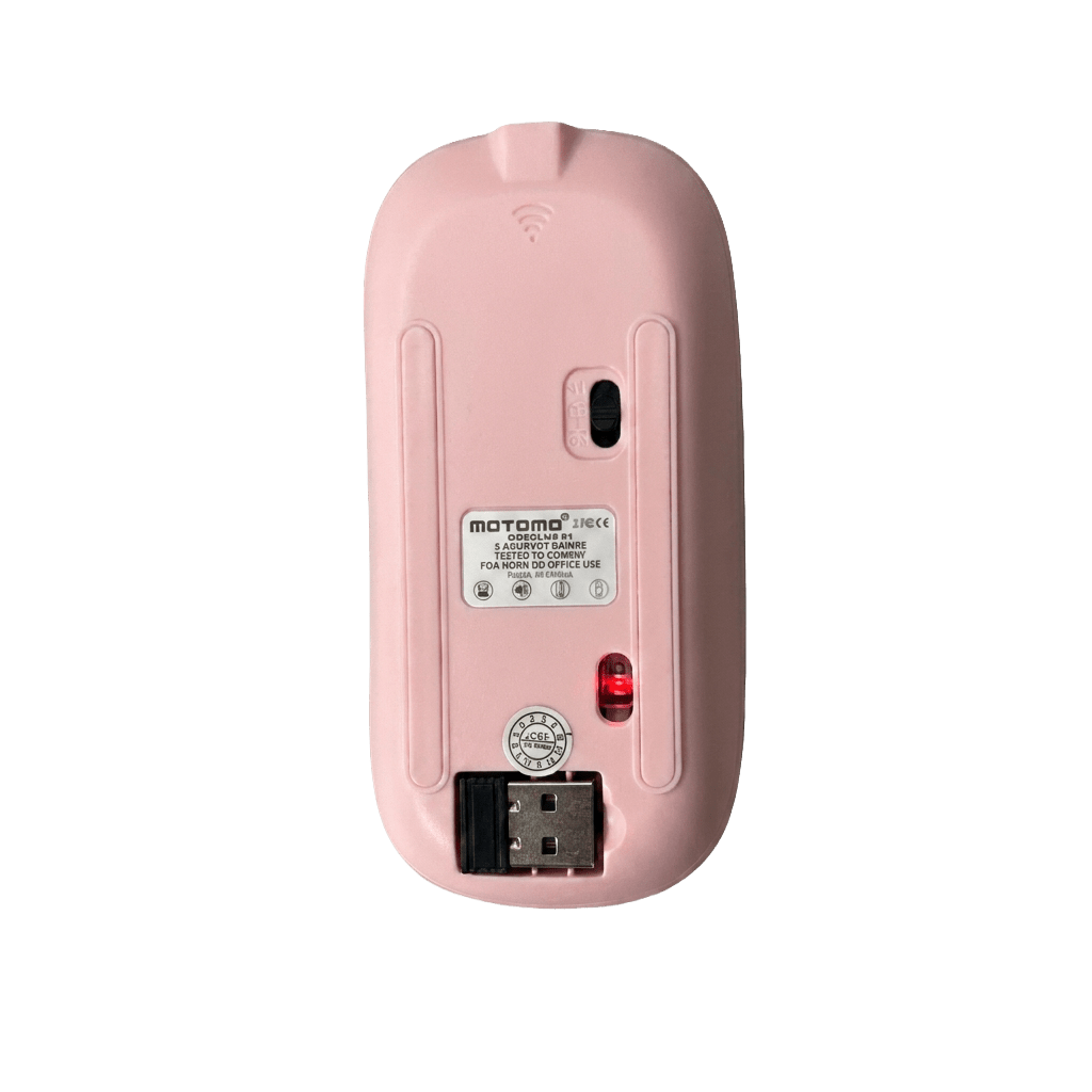 Mouse AP-01 Rosa3