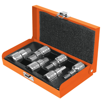 Set de Dados Punta Allen 1/2