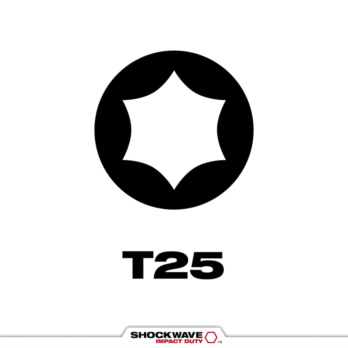 PUNTA TORXS T25 1PZ LARGA 2