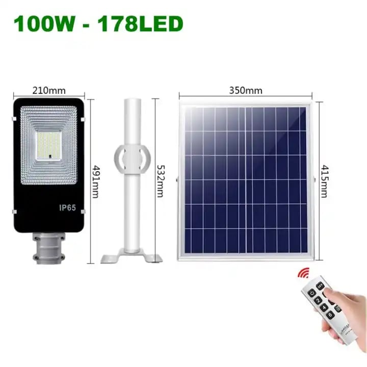 PASTORAL LED SOLAR 100W/6500K FSL LED-PTS100BL9
