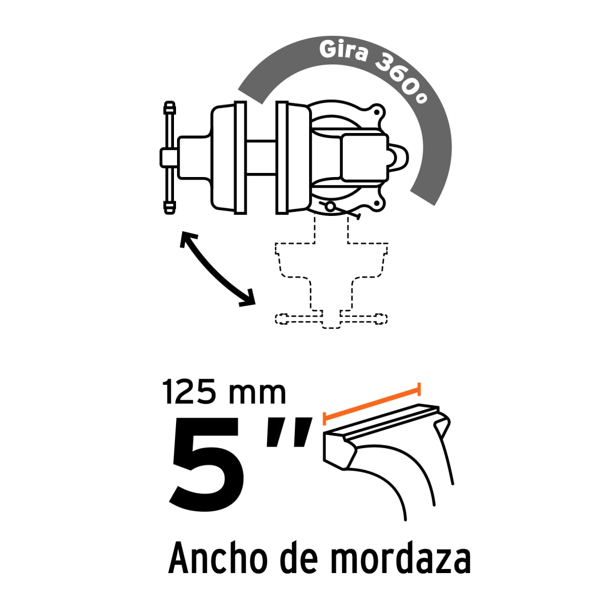 Tornillo de banco 5