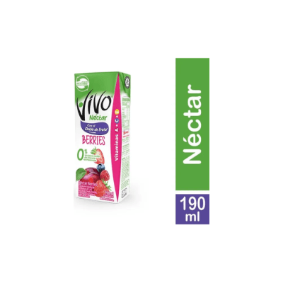 NÉCTAR SABOR BERRIES 190 ML VIVO1