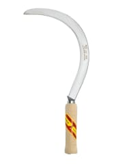 ECHONA REMOLACHERA PULIDA (1006-4/0)