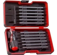 Juego Destornilladores Varillas con ptas. Cambiables (06081306)