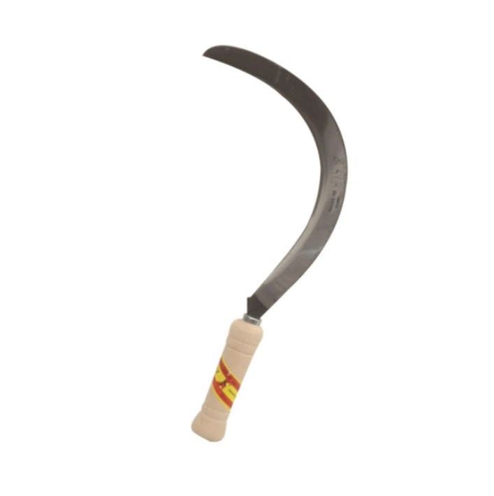 ECHONA REMOLACHERA PULIDA (1006-4/0)2