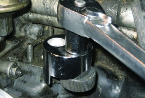 Extractor De Esparragos 6-19 Mm (818A)2