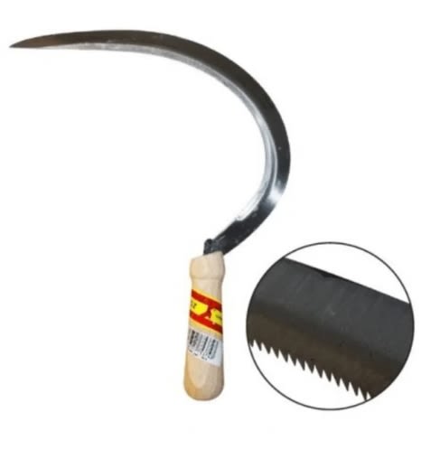 Echona Hoz Dentada Largo 505 Mm Ancho Hoja 22 Mm2