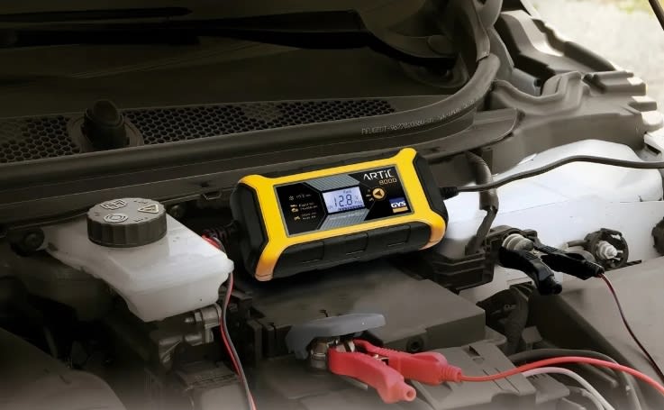 Cargador Baterias Artic 8000  12 -v (029590)9