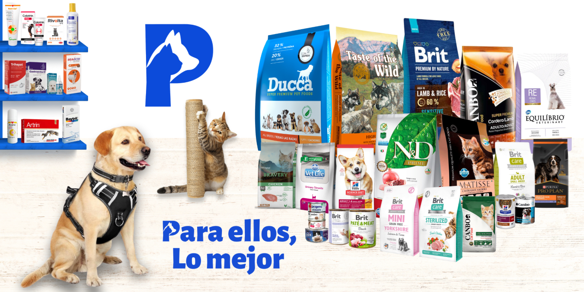 bannerweb 33239