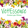 VETESSENCE