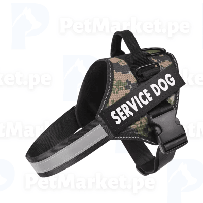 PECHERA POLICE