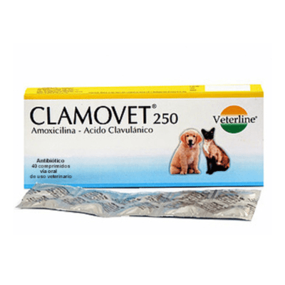 CLAMOVET 250mg X 1 comprimido1
