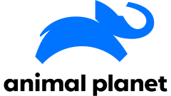 ANIMAL PLANET PETS