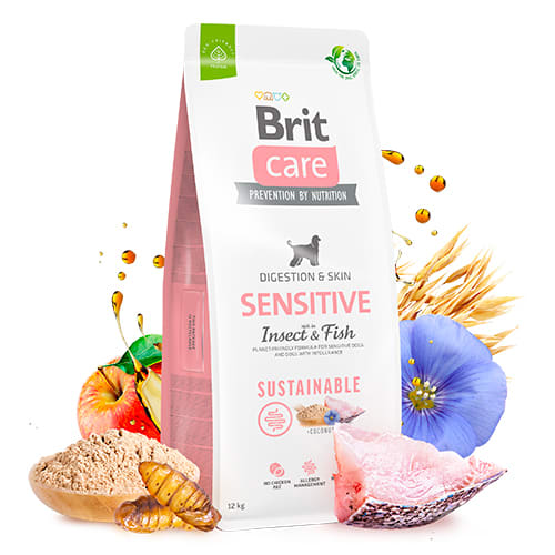 BRIT CARE DOG INSECT & FISH SENSITIVE 3KG | Fam Pet