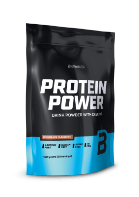 PROTEIN POWER 1000 g /33 servicios