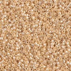 11/0 DELICA X 50GR/BL NUDE 0