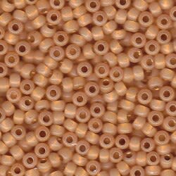 6/0 ROCAILLA MIYUKI 20GR C10
