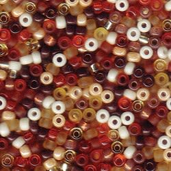 8/0 ROCAILLA MIYUKI APPRX 22GM C6