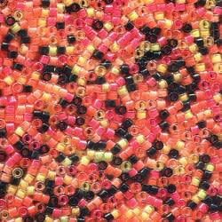 11/0 DELICA X 7.2GR/TB MIXES B20