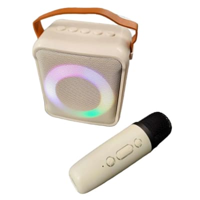 Bocina Karaoke Bluetooth FM dual microfono portatil WL-39116