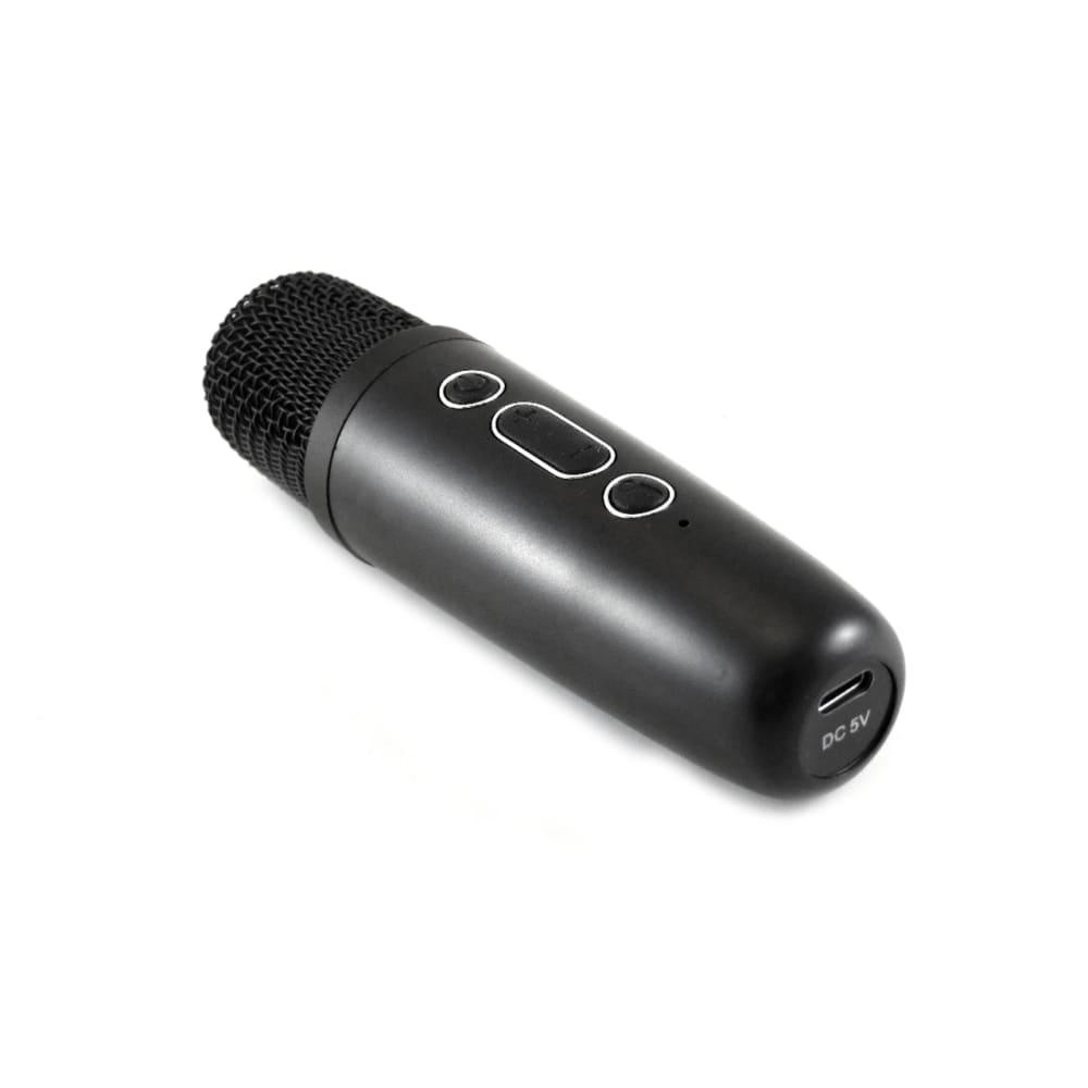 Bocina Karaoke Bluetooth FM dual microfono portatil WL-3912