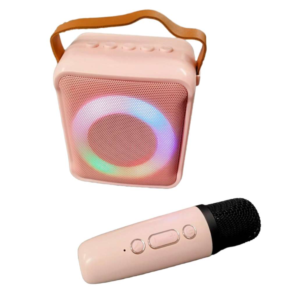 Bocina Karaoke Bluetooth FM dual microfono portatil WL-3913