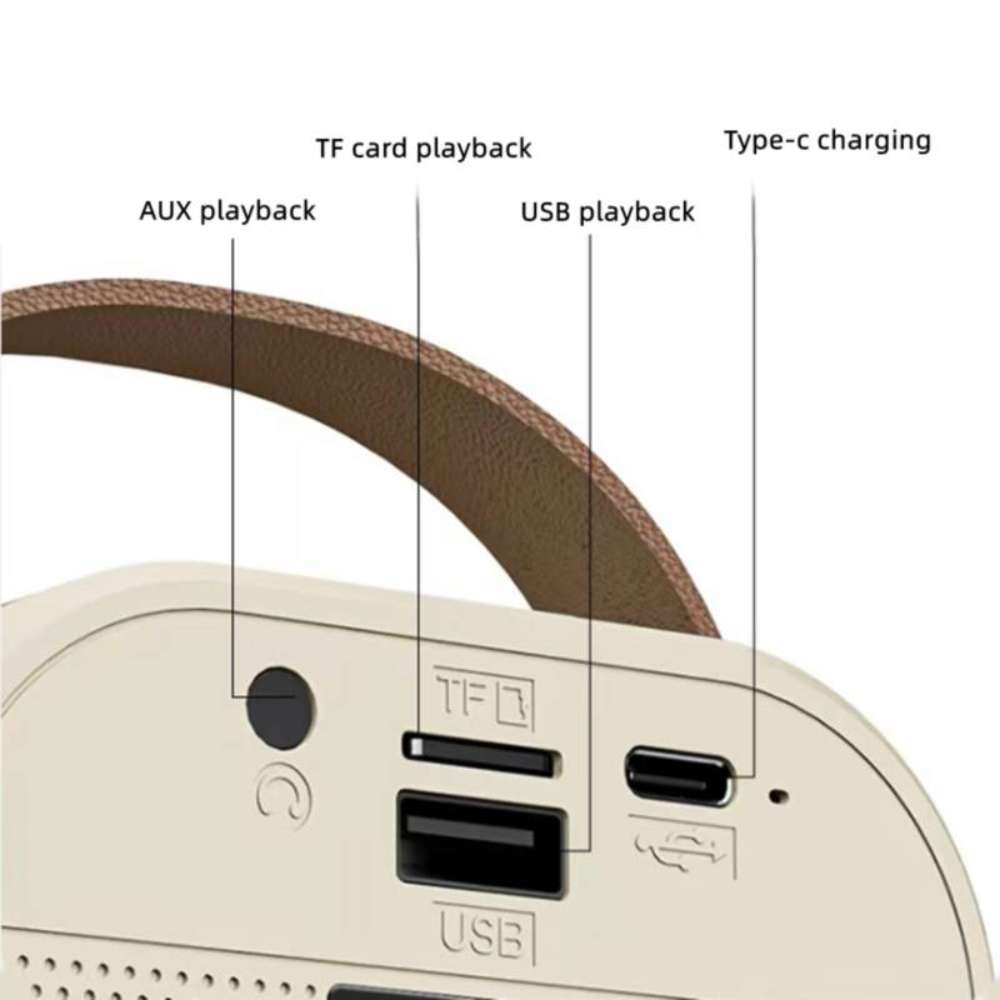 Bocina Karaoke Bluetooth  FM dual microfonos portatil WL-3956