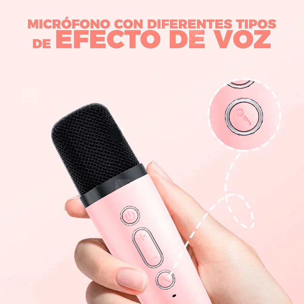 Bocina Karaoke Bluetooth FM dual microfono portatil WL-3917