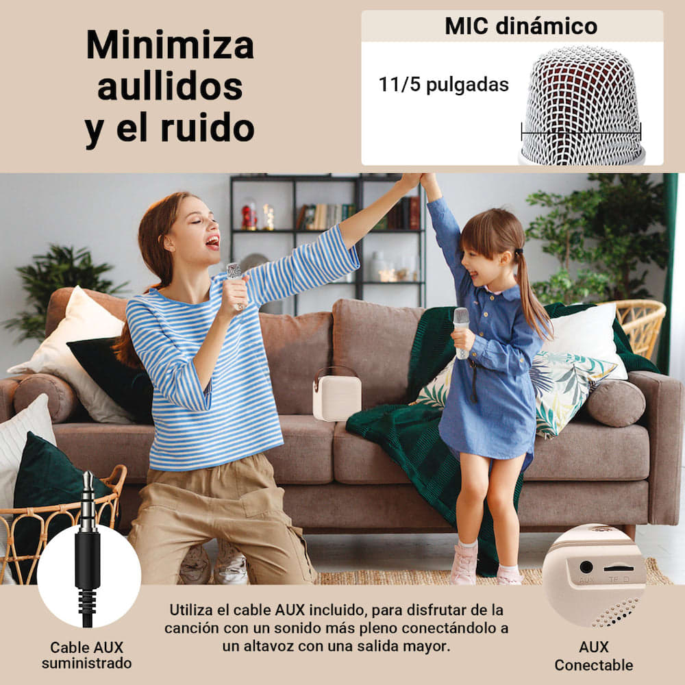 Bocina Karaoke Bluetooth FM dual microfono portatil WL-3918