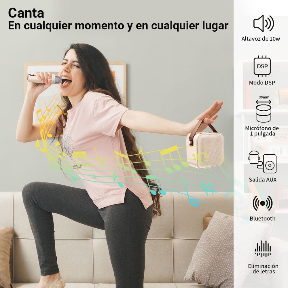 Bocina Karaoke Bluetooth FM dual microfono portatil WL-3919