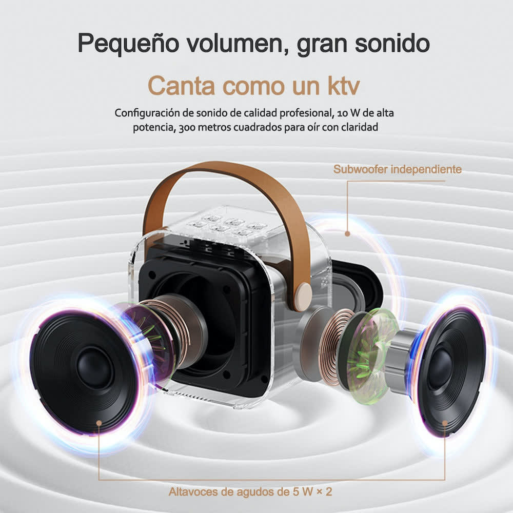 Bocina Karaoke Bluetooth FM dual microfonos portatil WL-39510