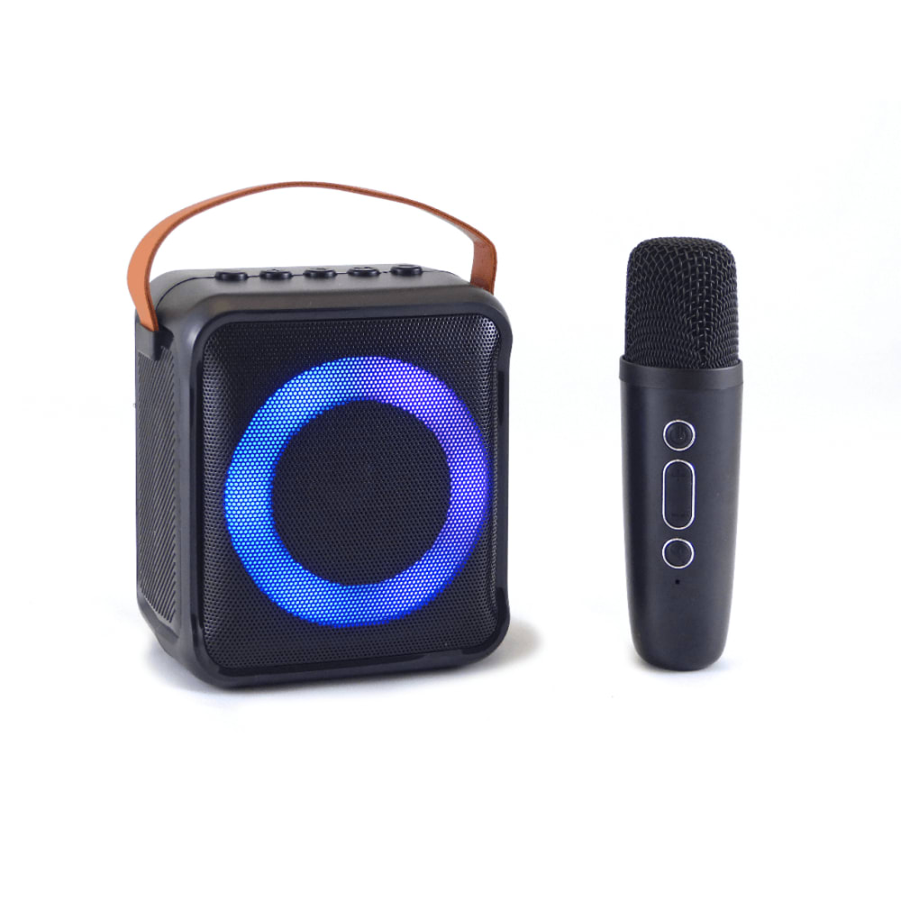 Bocina Karaoke Bluetooth FM dual microfono portatil WL-39113