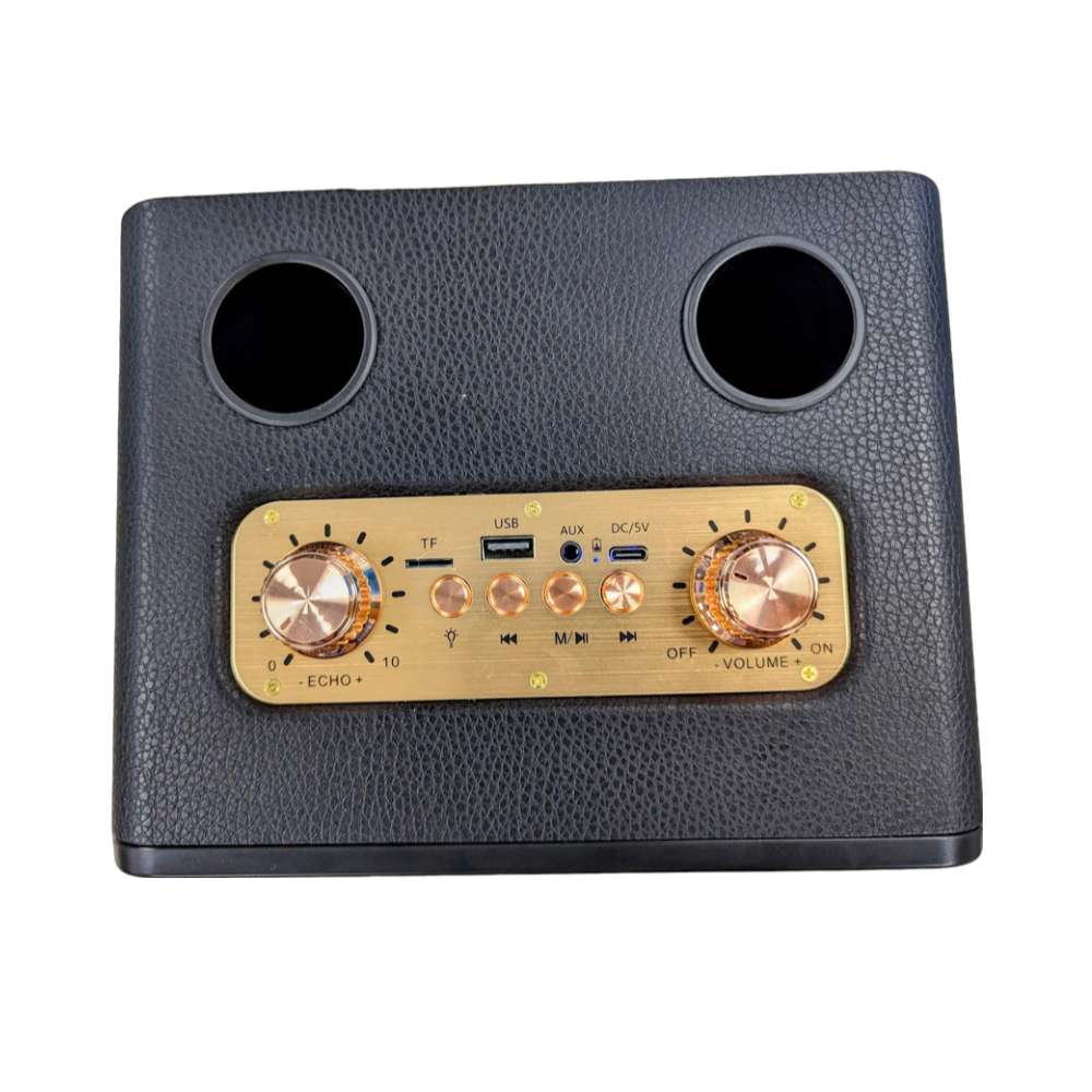 Bocina Karaoke Bluetooth  FM dual microfonos RGB Moreka A166