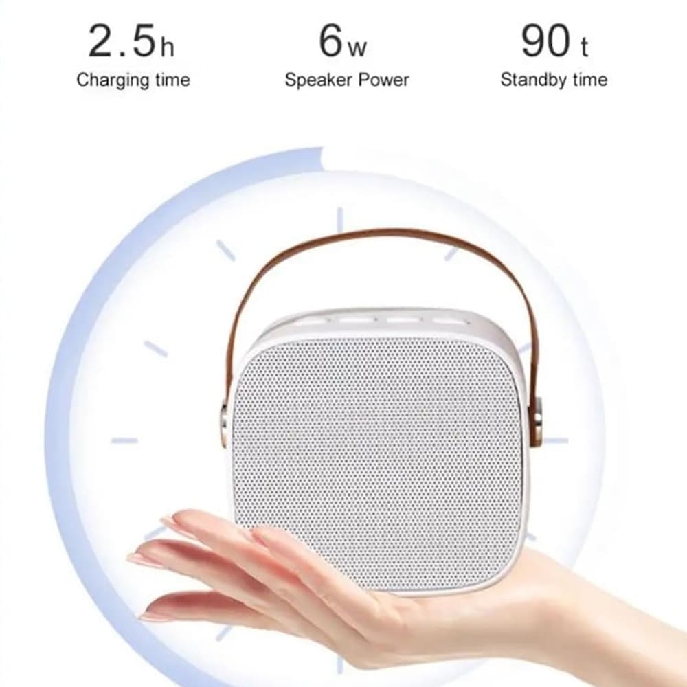 Bocina Karaoke Bluetooth FM dual microfono portátil K13