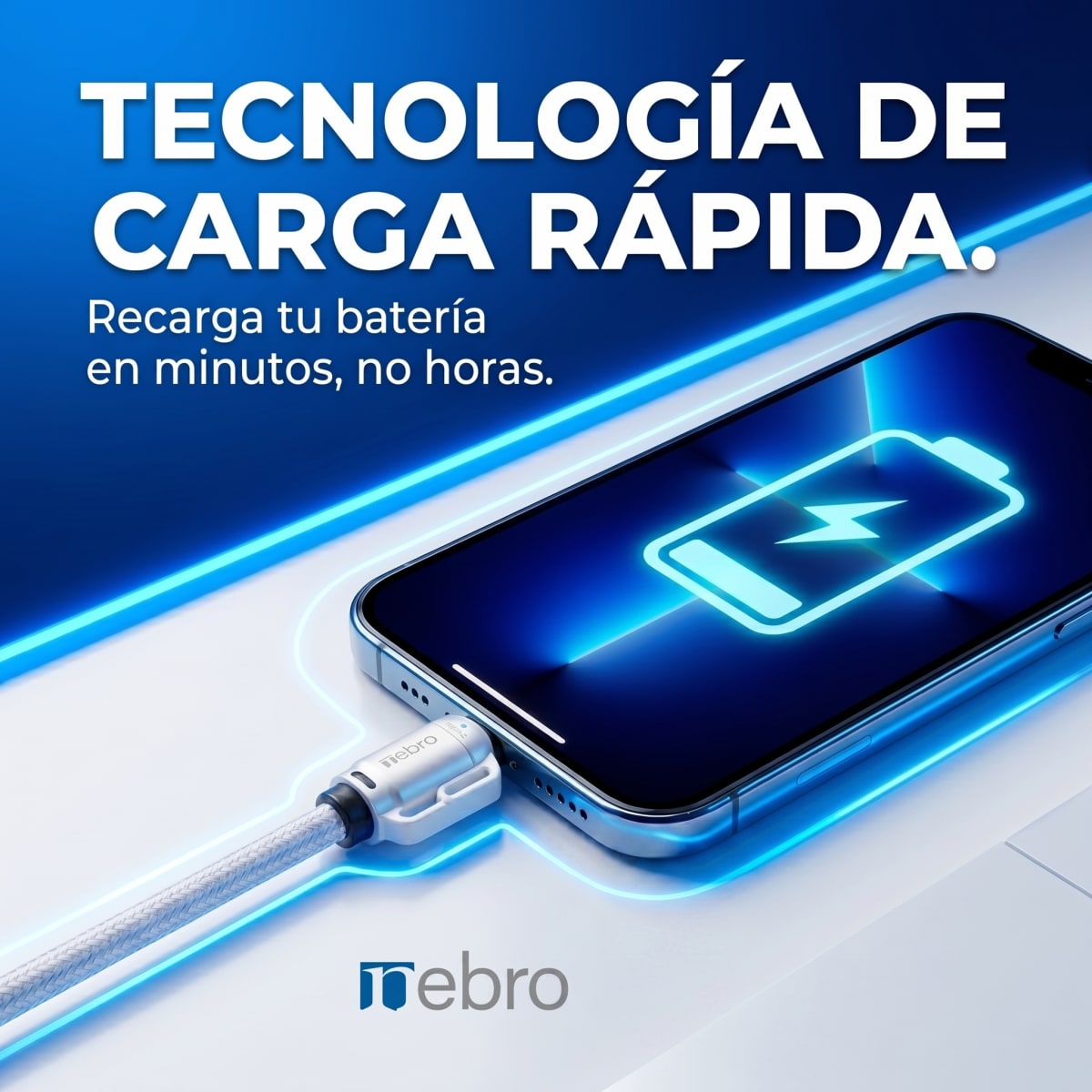 Cable Tipo C Modelo WD307 27W6