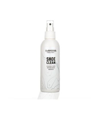 LOWA SHOE CLEAN1