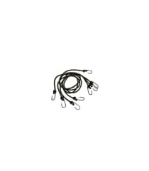 PULPO ELASTICO