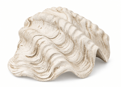 ESCULTURA CONCHA BEIGE