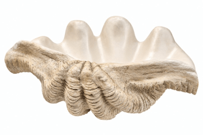 ESCULTURA CONCHA LARGE BEIGE