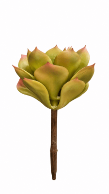 FLORAL SUCCULENT PICK - III