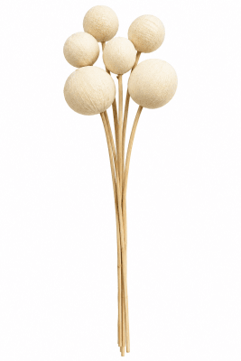 FLORAL BELL CUP STEM BLEACHED